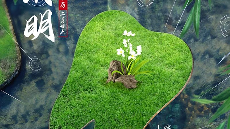 单颗种植牙费用构成解析：2025全流程费用一览**